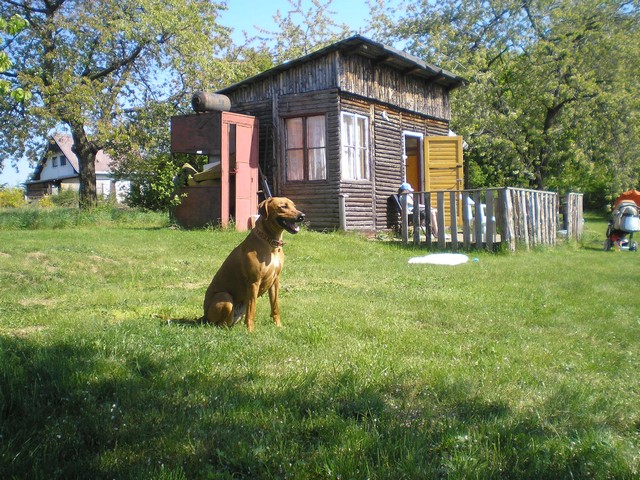 Koanina Lulěč