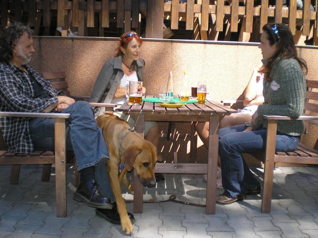v restauraci na Laguně