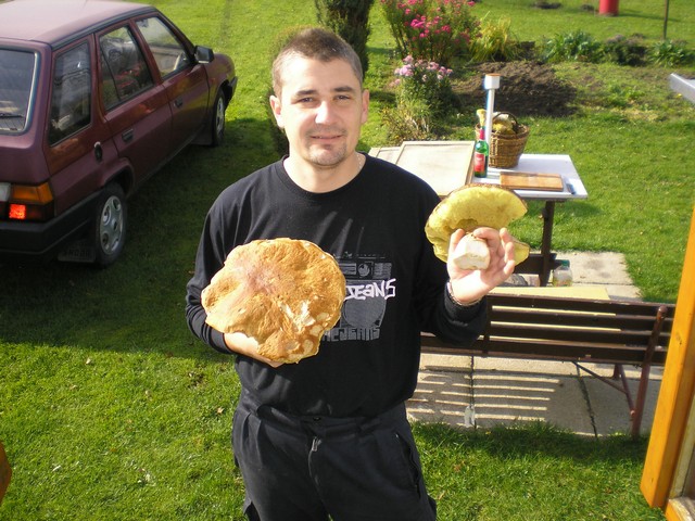 Martin na houbách