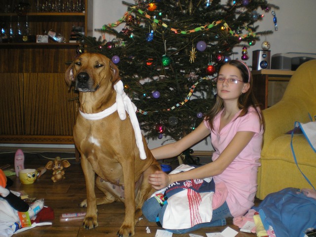 vánoce 2008