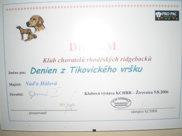 klubová výstava