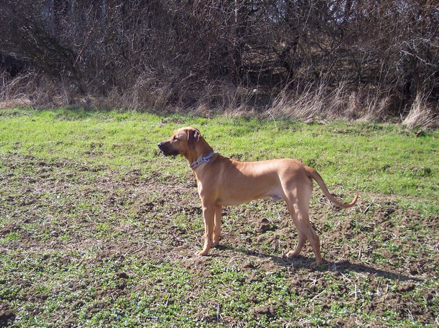 Sam