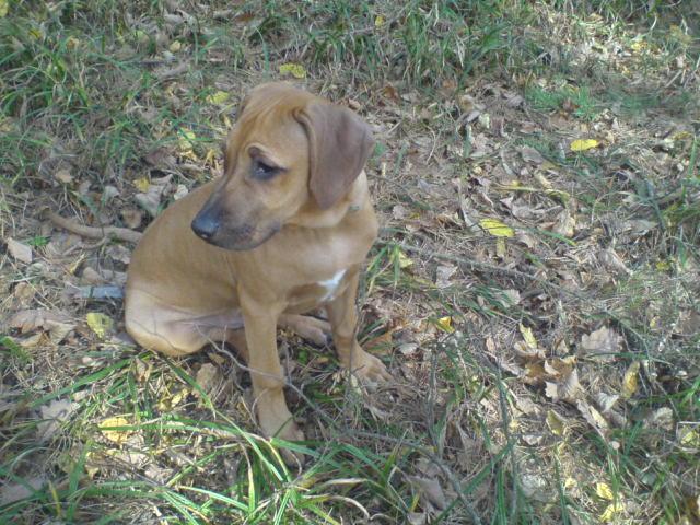 Sam (podzim 2008)
